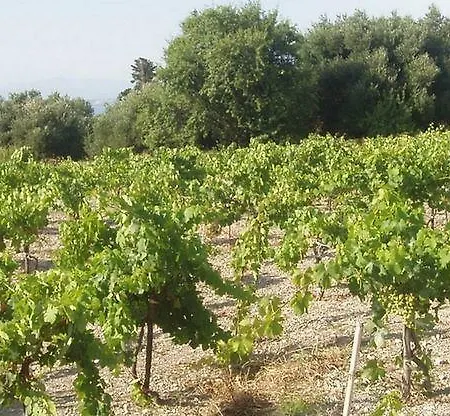 Apartahotel Dionysos Village