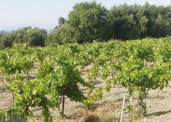 Dionysos Village Apartahotel Lassi (Kefalonia)