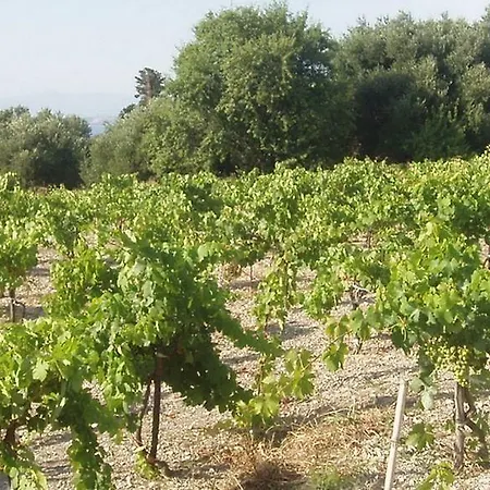 Dionysos Village Lägenhetshotell Lassi (Kefalonia)